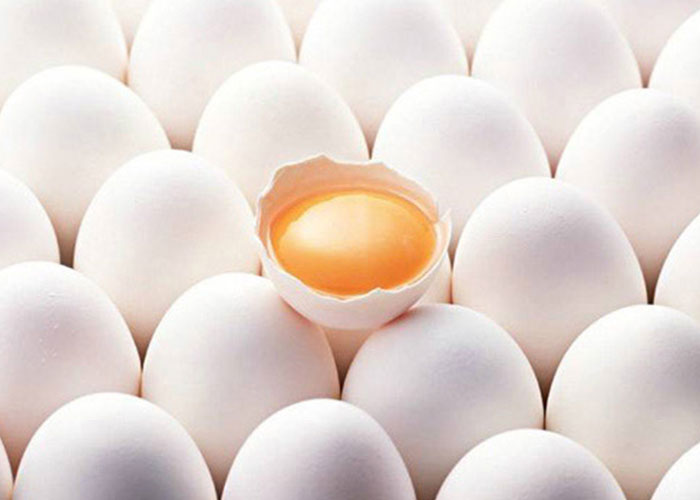 SPF Eggs